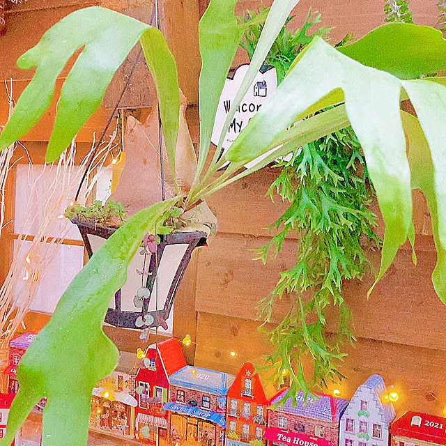 Hanakaさんの実例写真