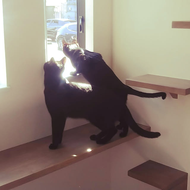 yucchiさんの実例写真