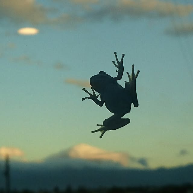 acolateさんの実例写真