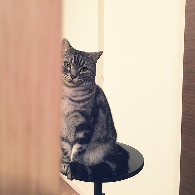 mikomaruさんの実例写真