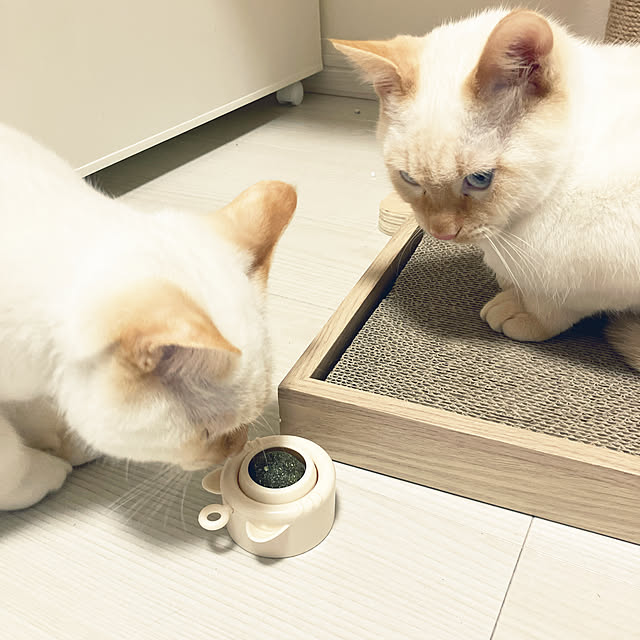 YUKIFUKUさんの実例写真