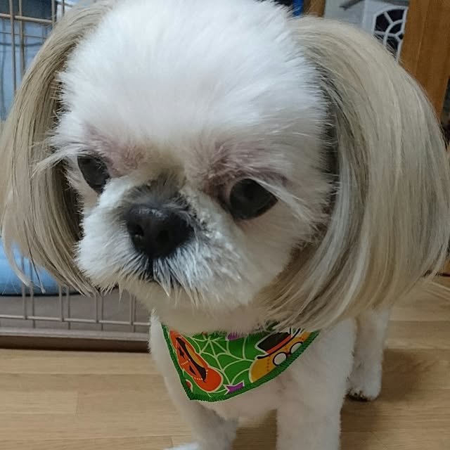 Reiさんの実例写真