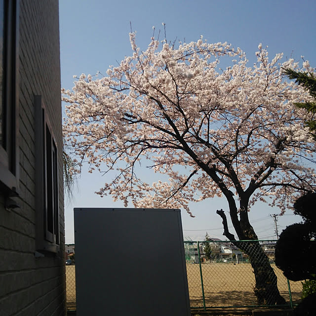 icchiさんの実例写真
