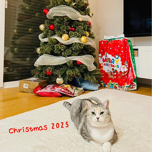 moto_nyaiderさんの実例写真