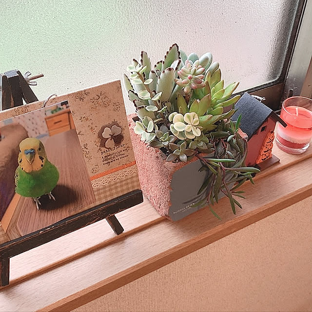 cyaroさんの実例写真