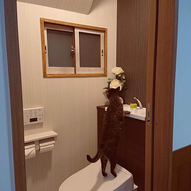 nachiさんの実例写真