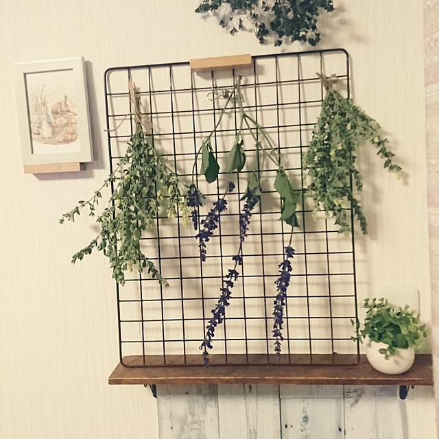 swallowtailさんの実例写真