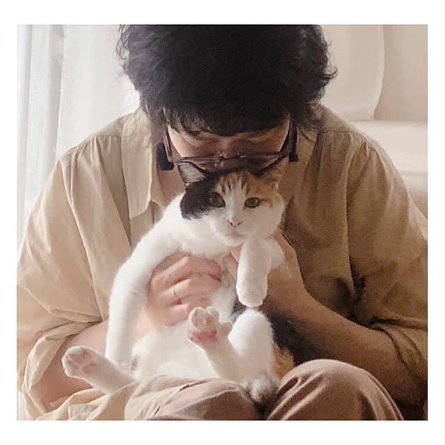 実例写真