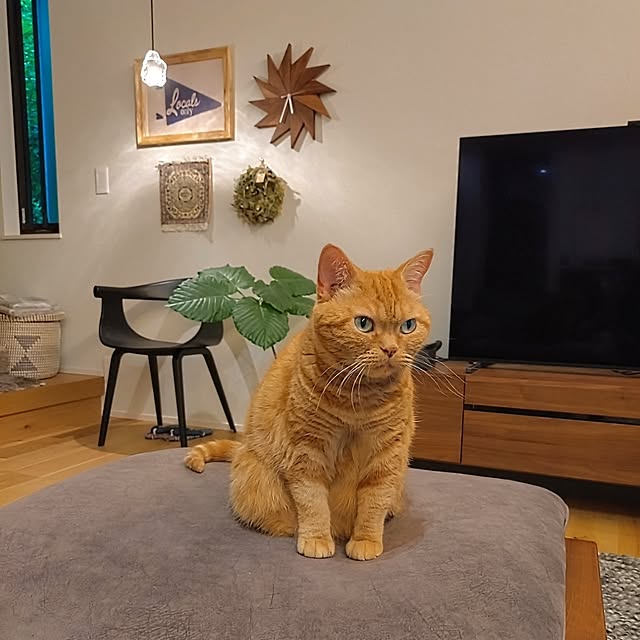 hagyu7kuroさんの部屋