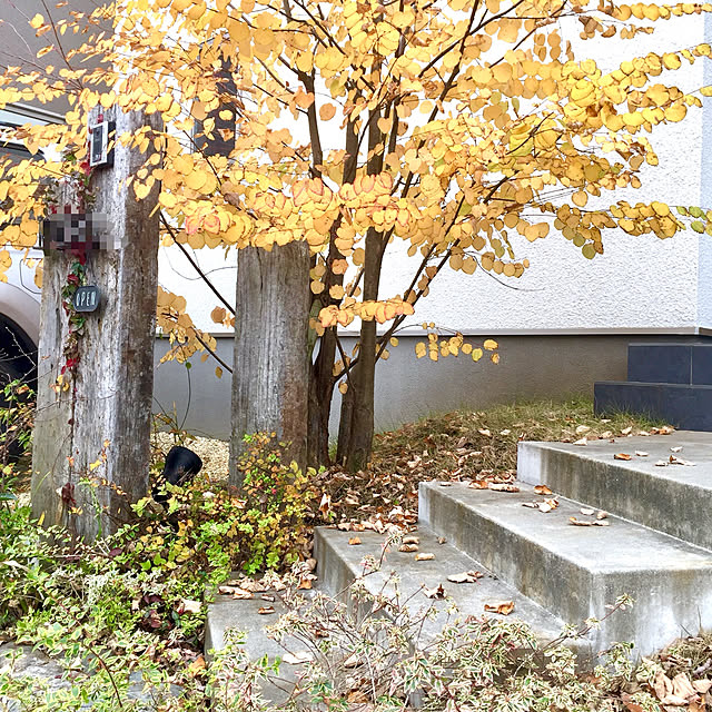 kobami_styleさんの実例写真