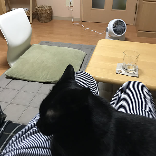 Machikoさんの実例写真