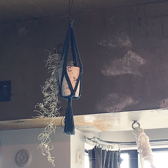 taruさんの実例写真