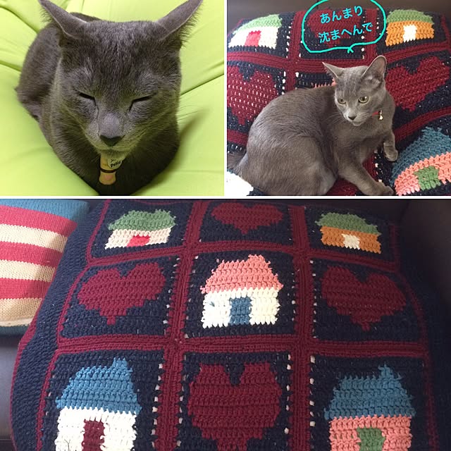 Yumikoさんの実例写真