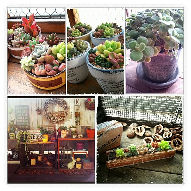 kaochanさんの実例写真