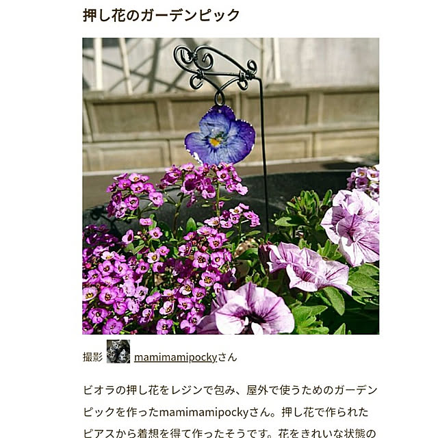 mamimamipockyさんの実例写真