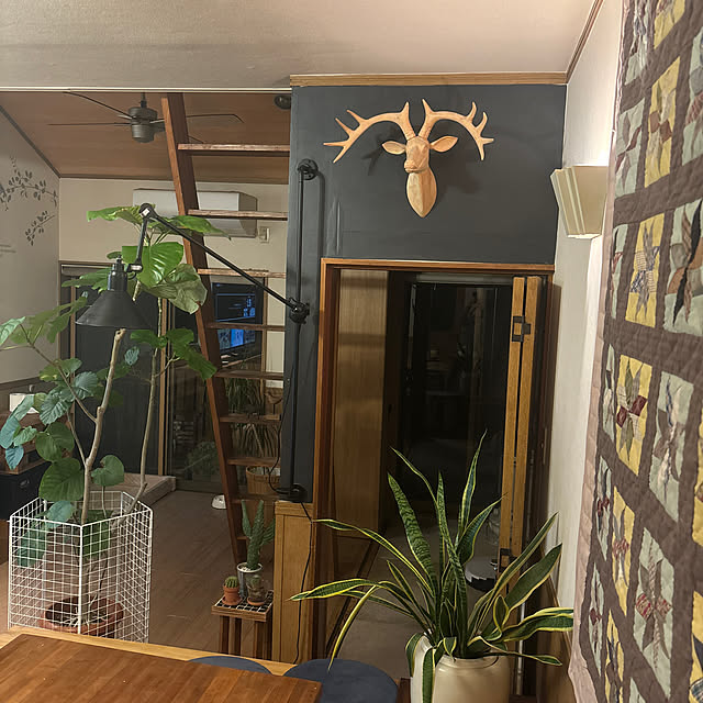 taeoさんの実例写真