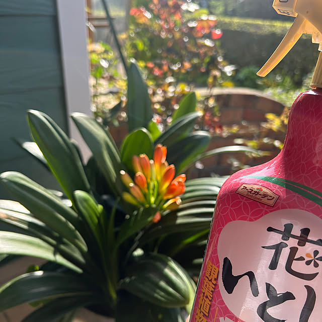 nana77さんの部屋
