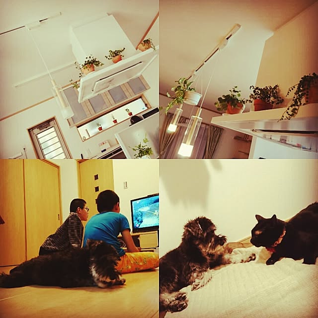HoshiYukiさんの実例写真