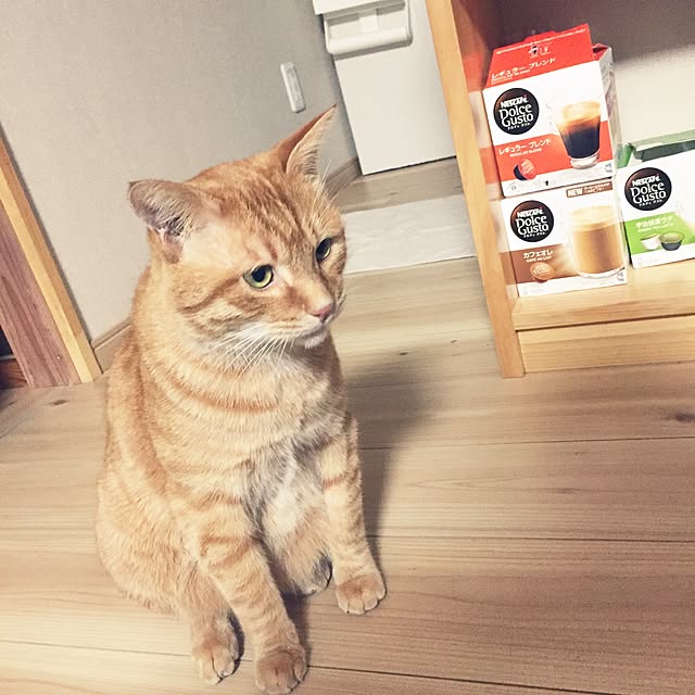 kkksssさんの実例写真
