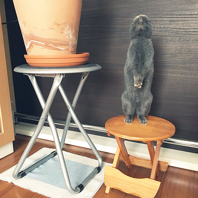 Manamiさんの実例写真