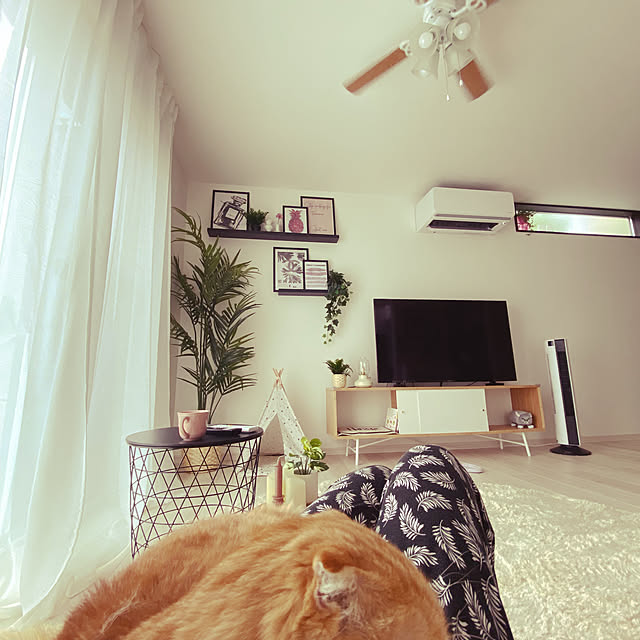 Mahoさんの実例写真