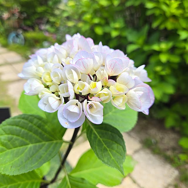 min_nimさんの実例写真
