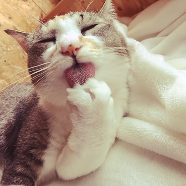 aa1924さんの実例写真