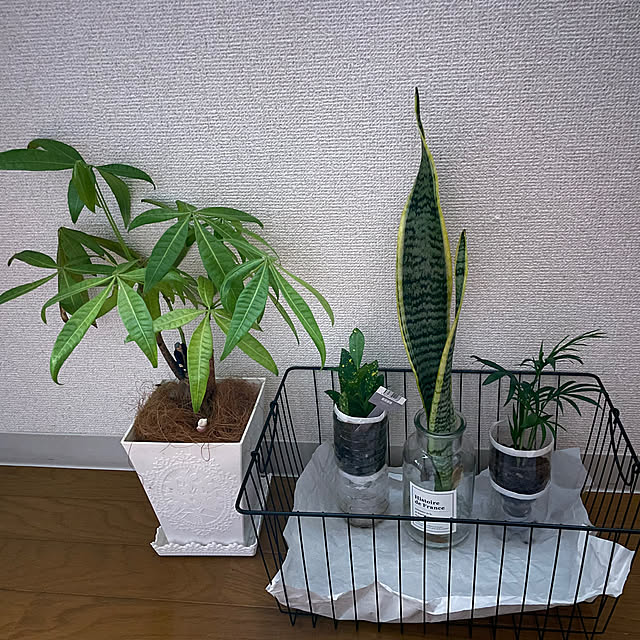 yuyuさんの実例写真