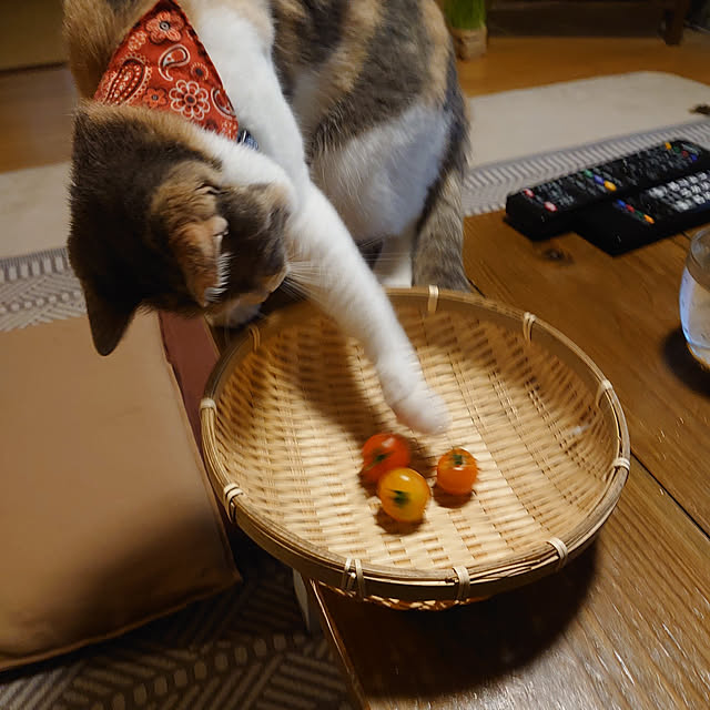fukuさんの実例写真