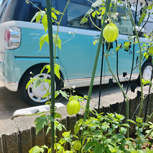eriharuさんの実例写真