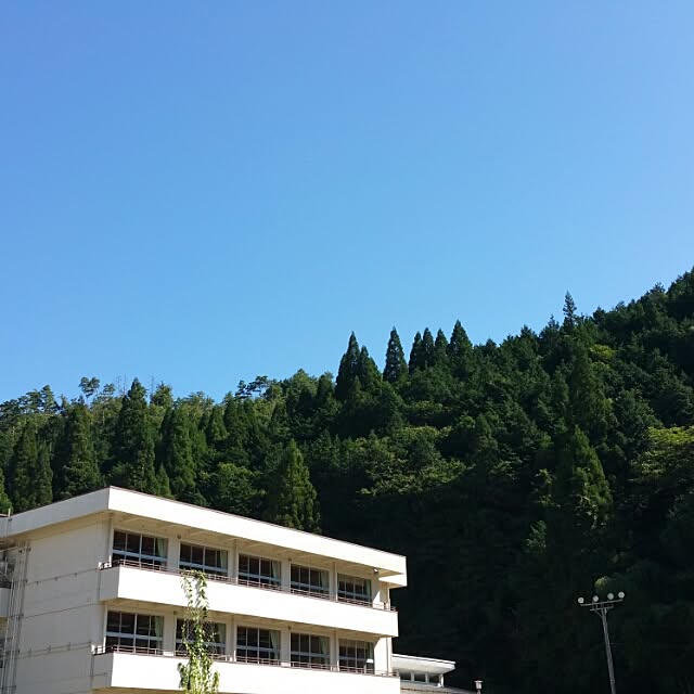 実例写真
