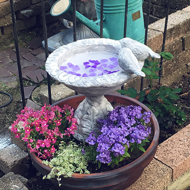 Dianaさんの実例写真