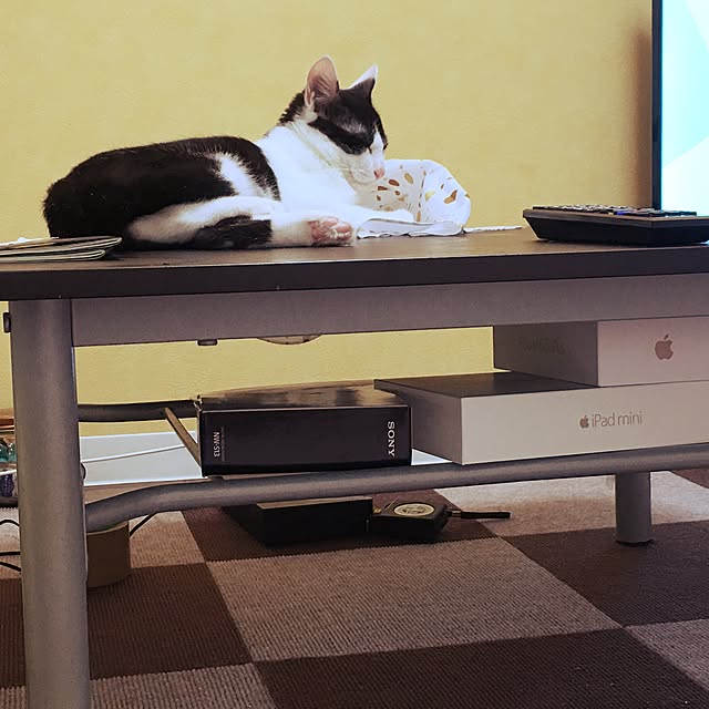syamitamaさんの実例写真