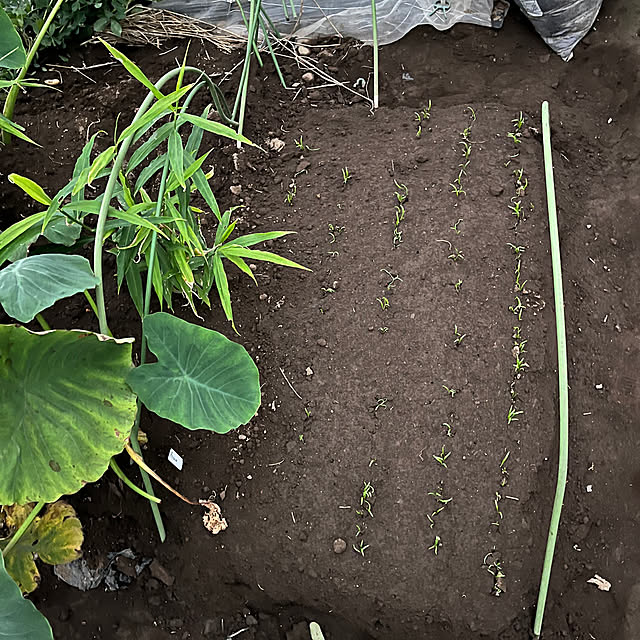 EMIKOさんの部屋