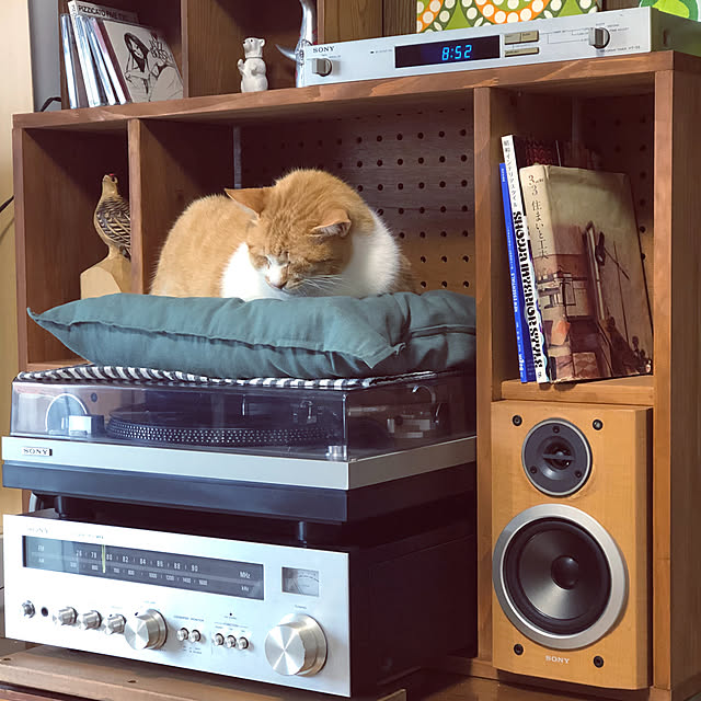 mokiさんの実例写真
