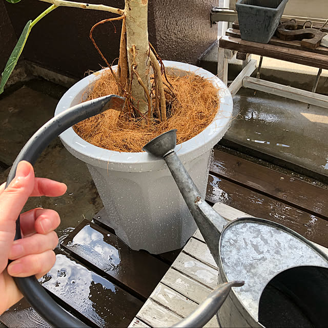 kuromameさんの実例写真