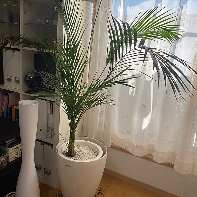 konekoginjiさんの実例写真