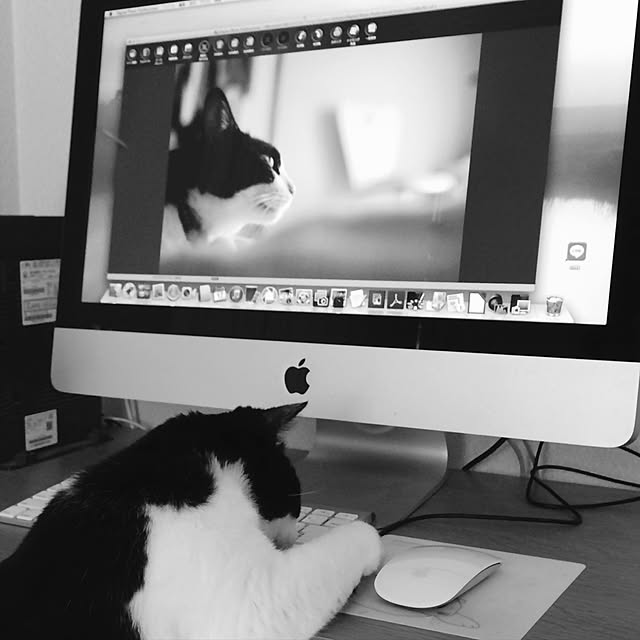 机/猫のインテリア実例 - 2016-11-13 17:03:13