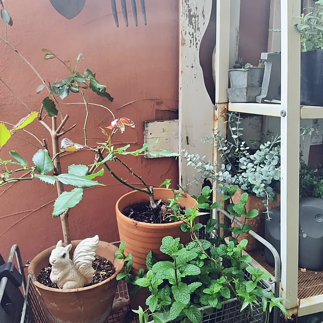hiro3さんの部屋