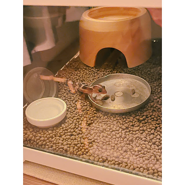 w_end_0625さんの部屋