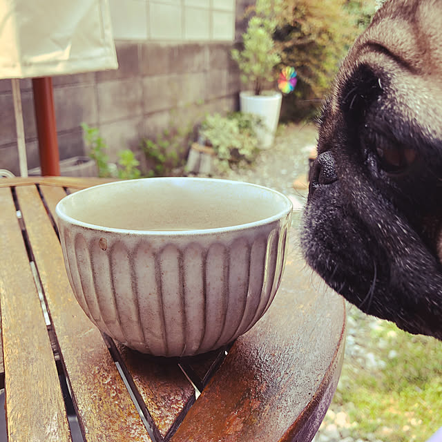 wadanorikodayoさんの実例写真