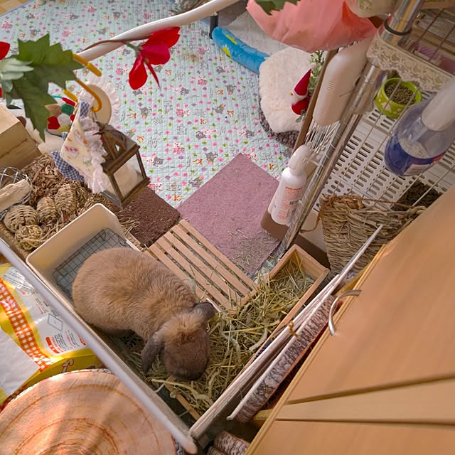 mariaさんの部屋