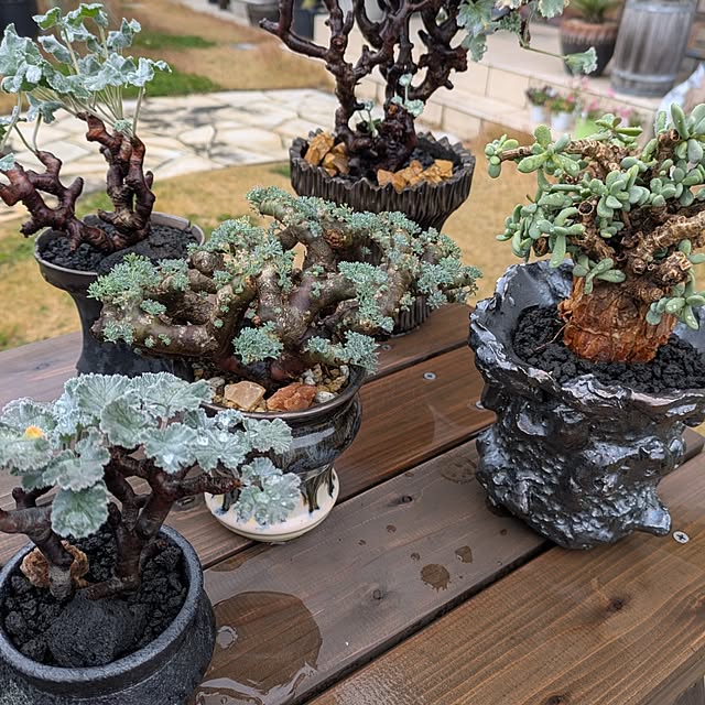 ot-gardenさんの部屋