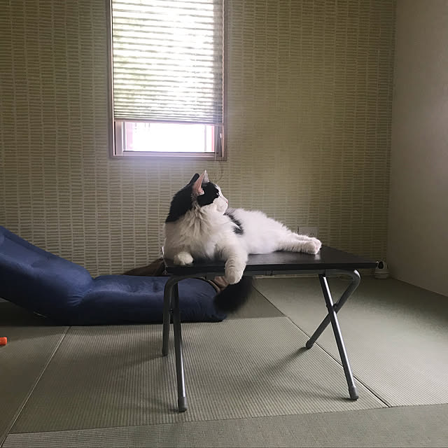 Yoshikaさんの実例写真