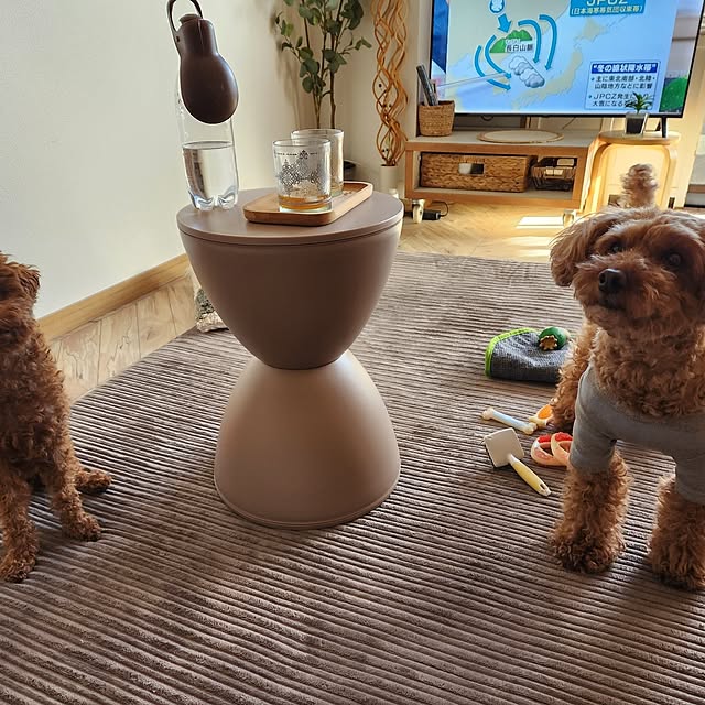 yumitanさんの部屋