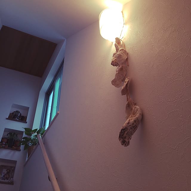 shark.scoveさんの実例写真