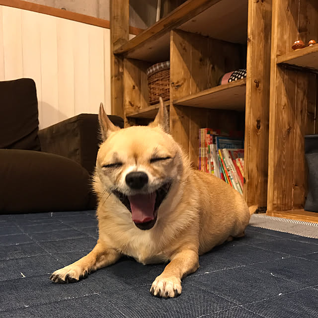 mamayuさんの実例写真
