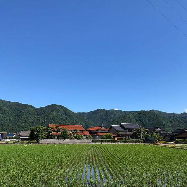 実例写真