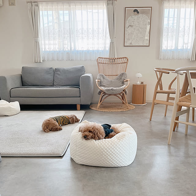 cocoaさんの実例写真