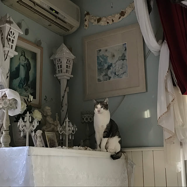 merisannさんの実例写真